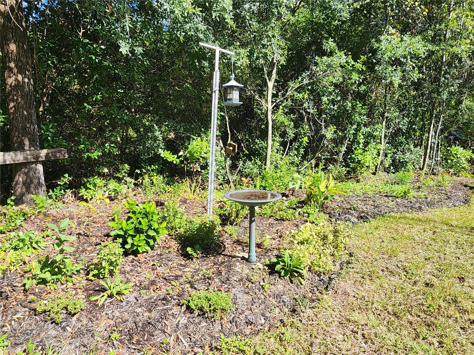 7910 NW 141ST ST, TRENTON, FL, 32693