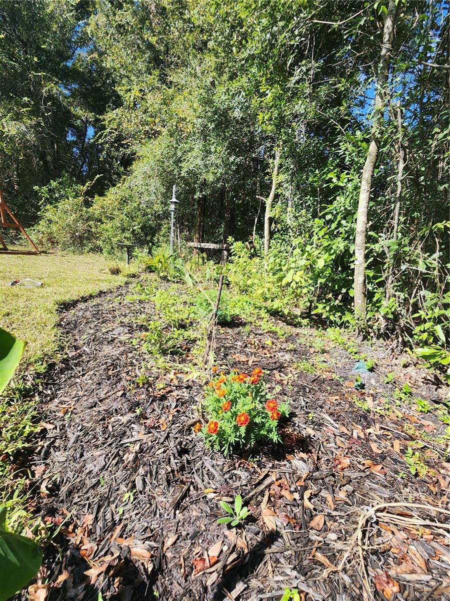 7910 NW 141ST ST, TRENTON, FL, 32693