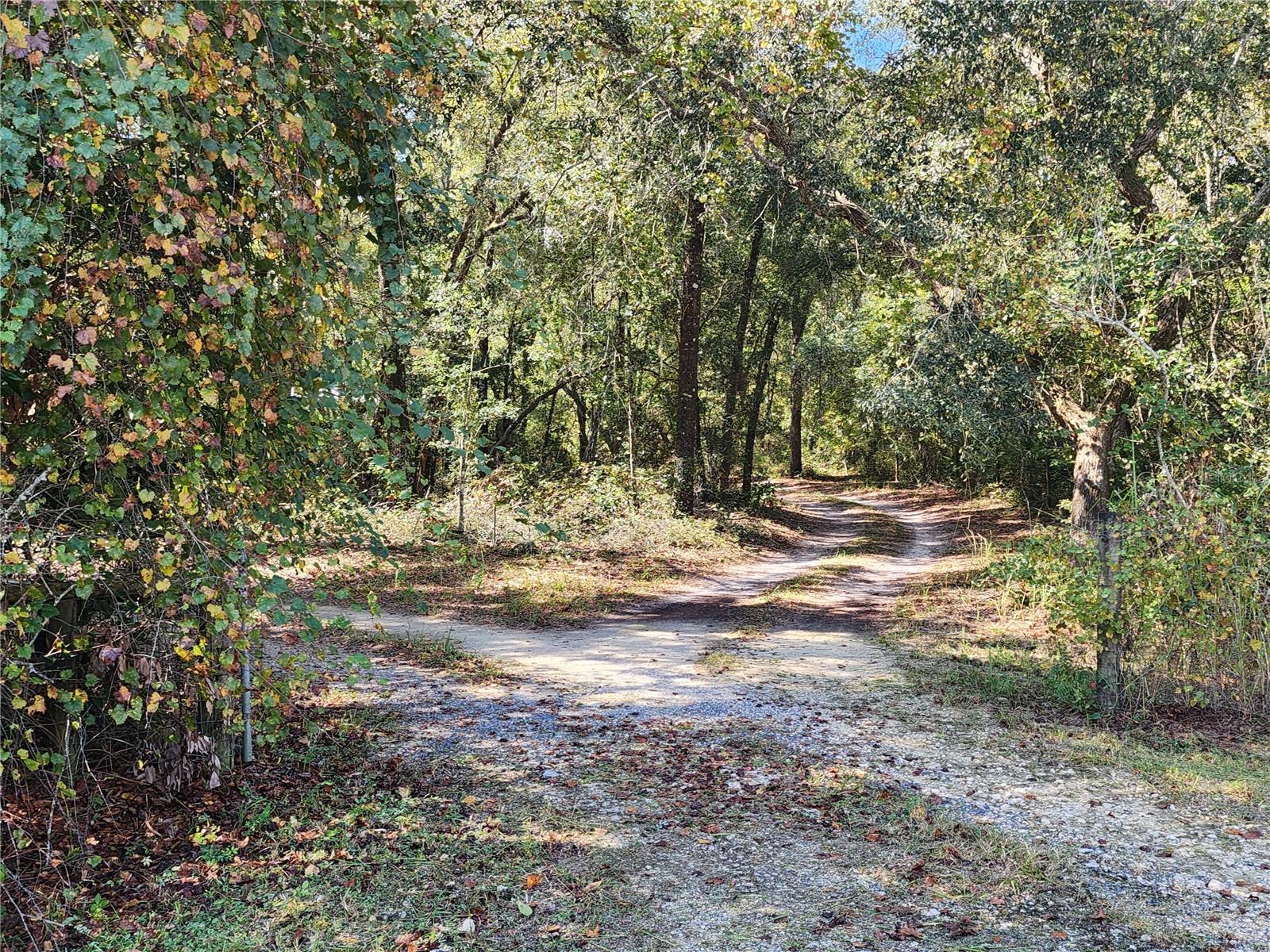 7910 NW 141ST ST, TRENTON, FL, 32693