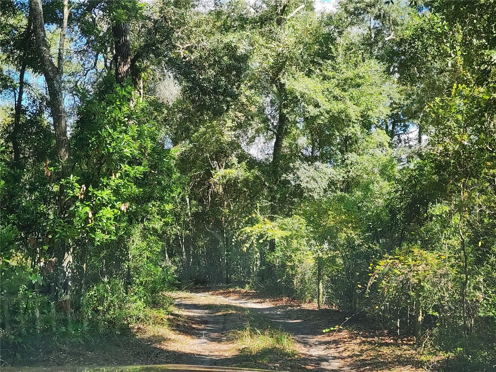 7910 NW 141ST ST, TRENTON, FL, 32693