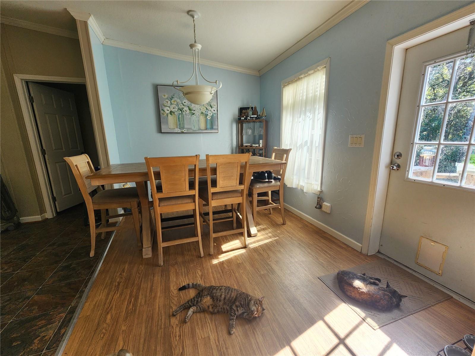 7910 NW 141ST ST, TRENTON, FL, 32693