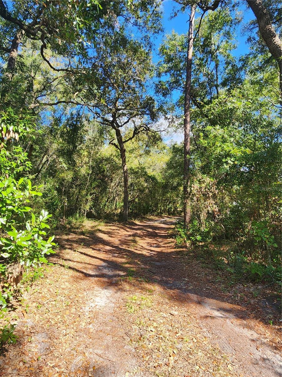 7910 NW 141ST ST, TRENTON, FL, 32693