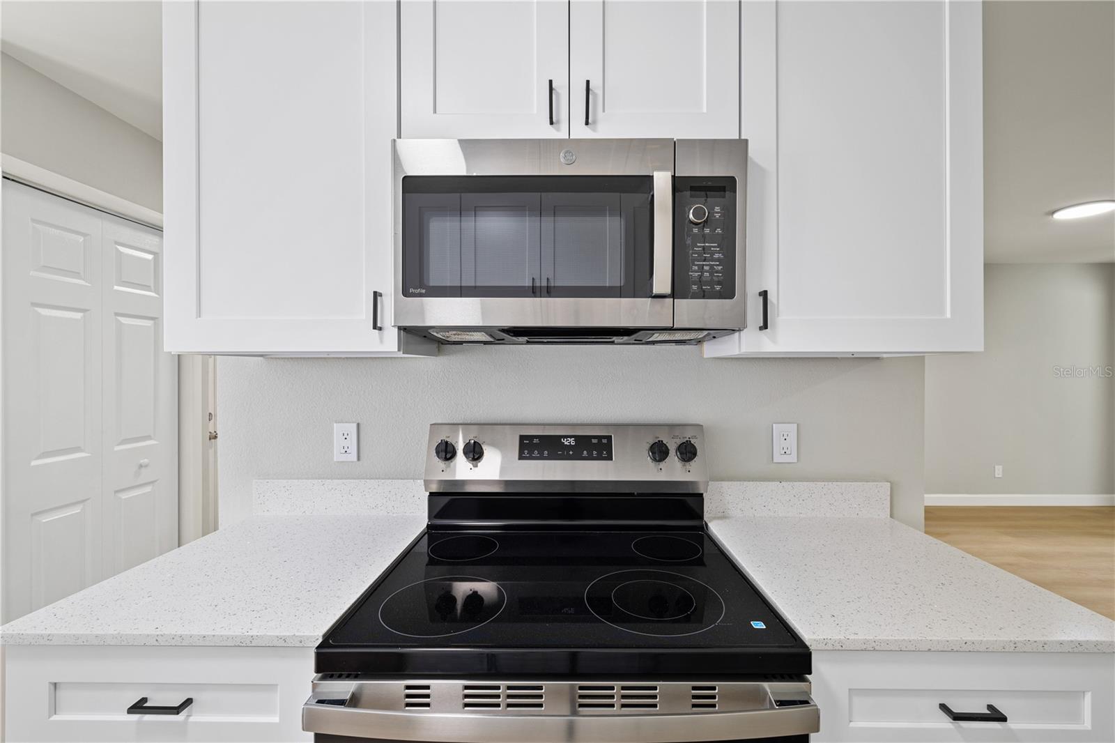 2054 WATERLEAF ST, ORLANDO, FL, 32837