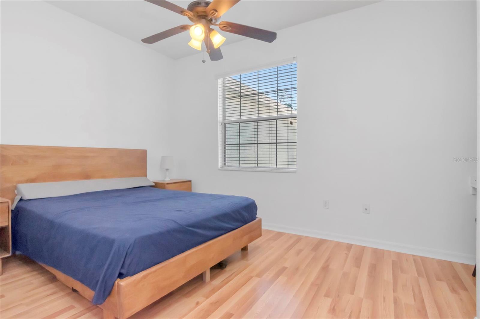 7308 CLEOPATRA DR, LAND O LAKES, FL, 34637