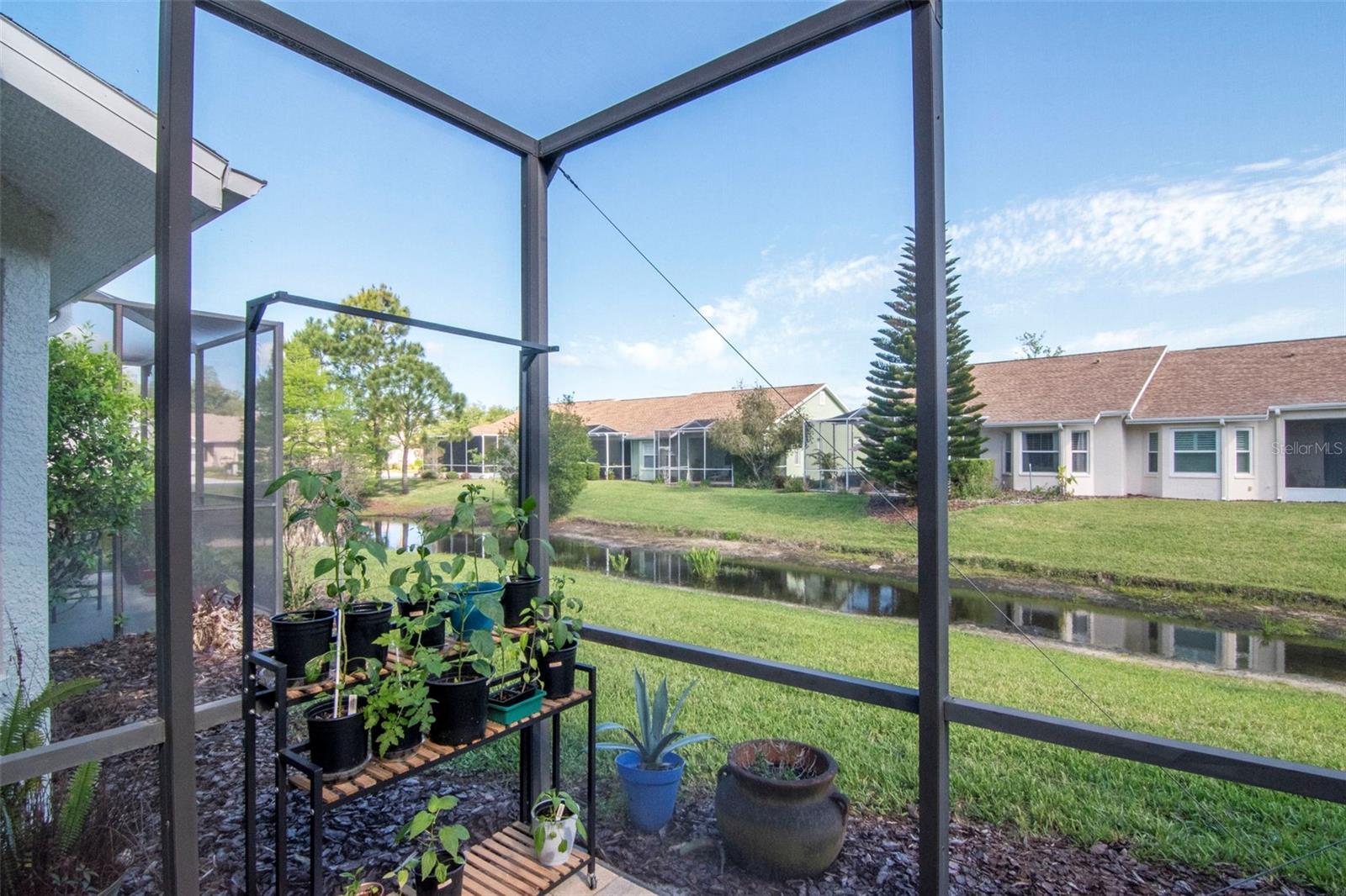 7308 CLEOPATRA DR, LAND O LAKES, FL, 34637