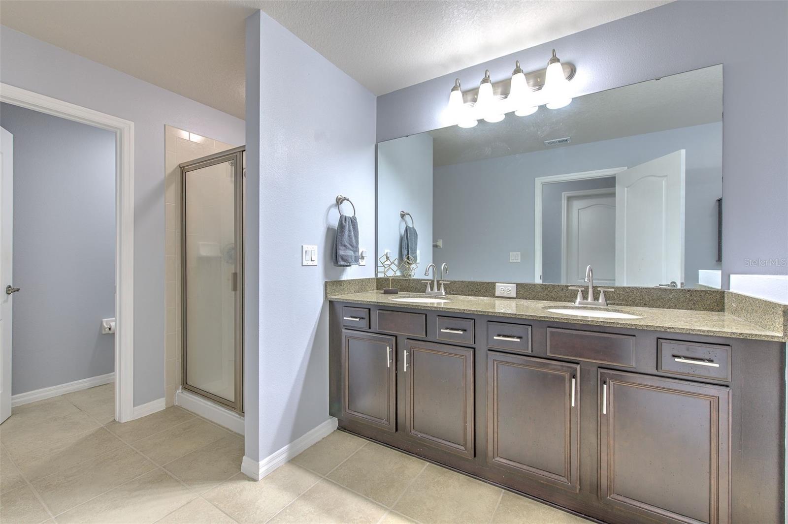 9033 ASPEN HOLLOW PL, RIVERVIEW, FL, 33578