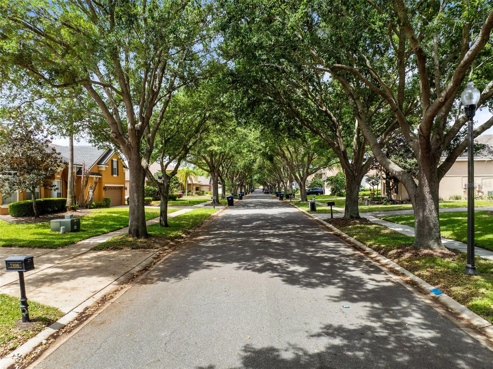 7896 HORSE FERRY RD, ORLANDO, FL, 32835