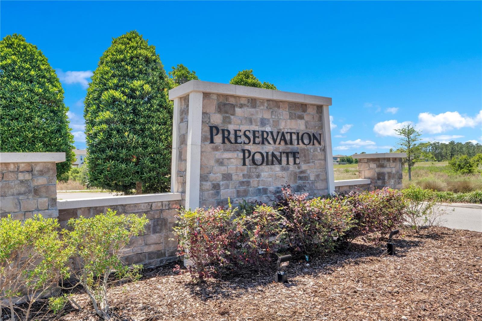 204 MILES CT, DAVENPORT, FL, 33837