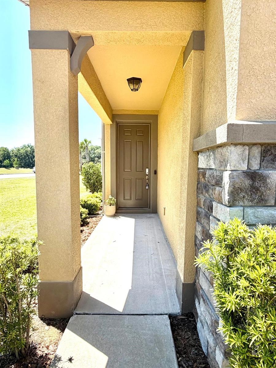 6206 SCARLET DARTER WAY #100N, TAMPA, FL, 33625