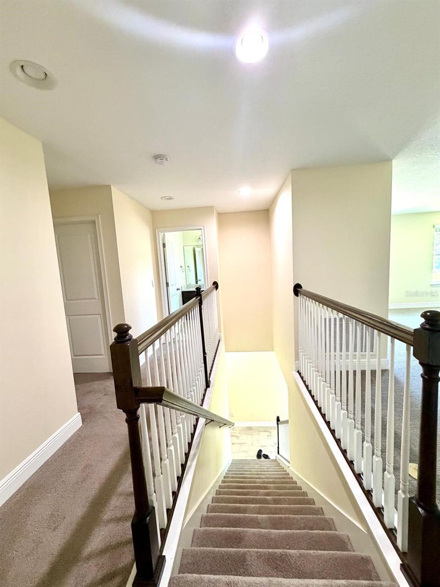 6206 SCARLET DARTER WAY #100N, TAMPA, FL, 33625