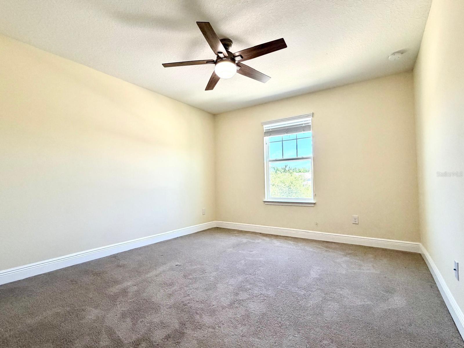 6206 SCARLET DARTER WAY #100N, TAMPA, FL, 33625