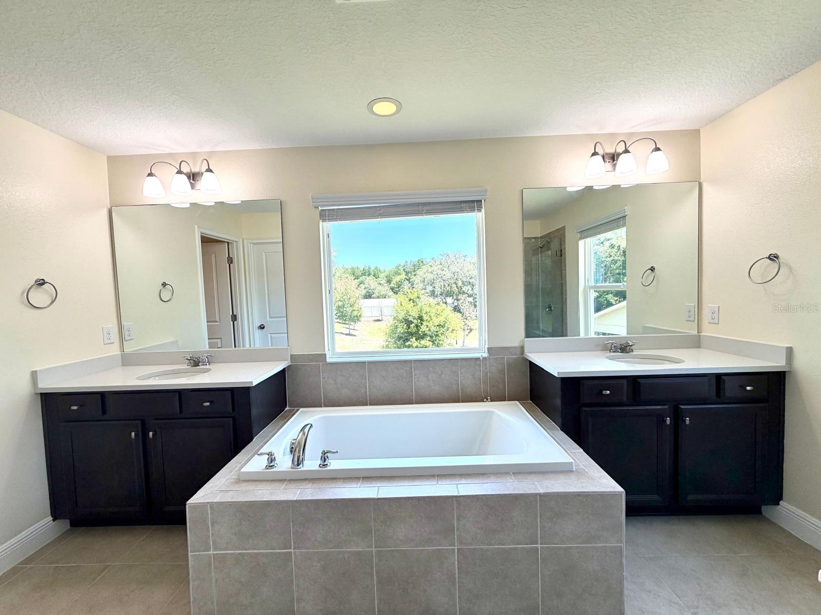 6206 SCARLET DARTER WAY #100N, TAMPA, FL, 33625