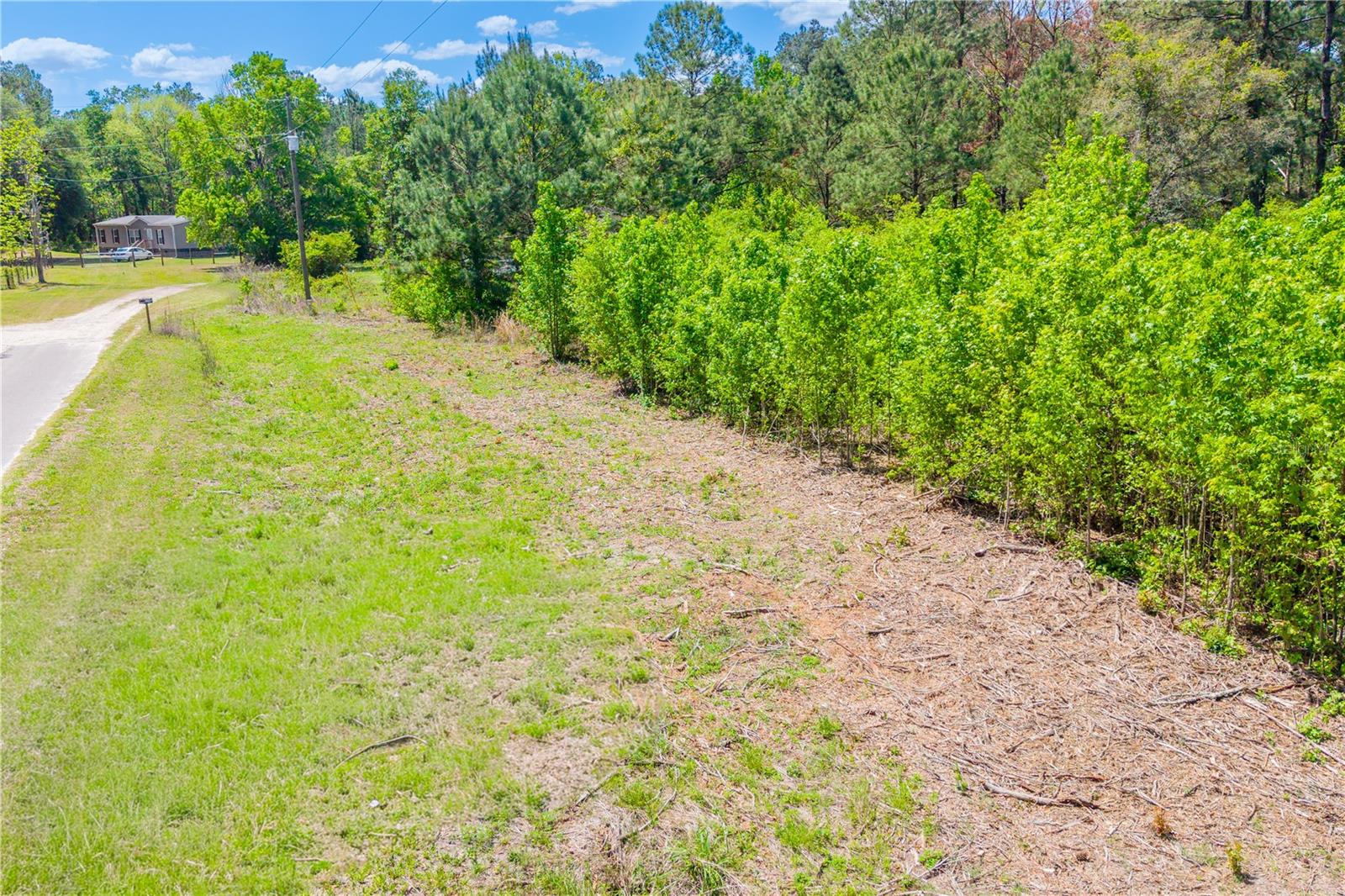 5781 SW 91ST PL, LAKE BUTLER, FL, 32054