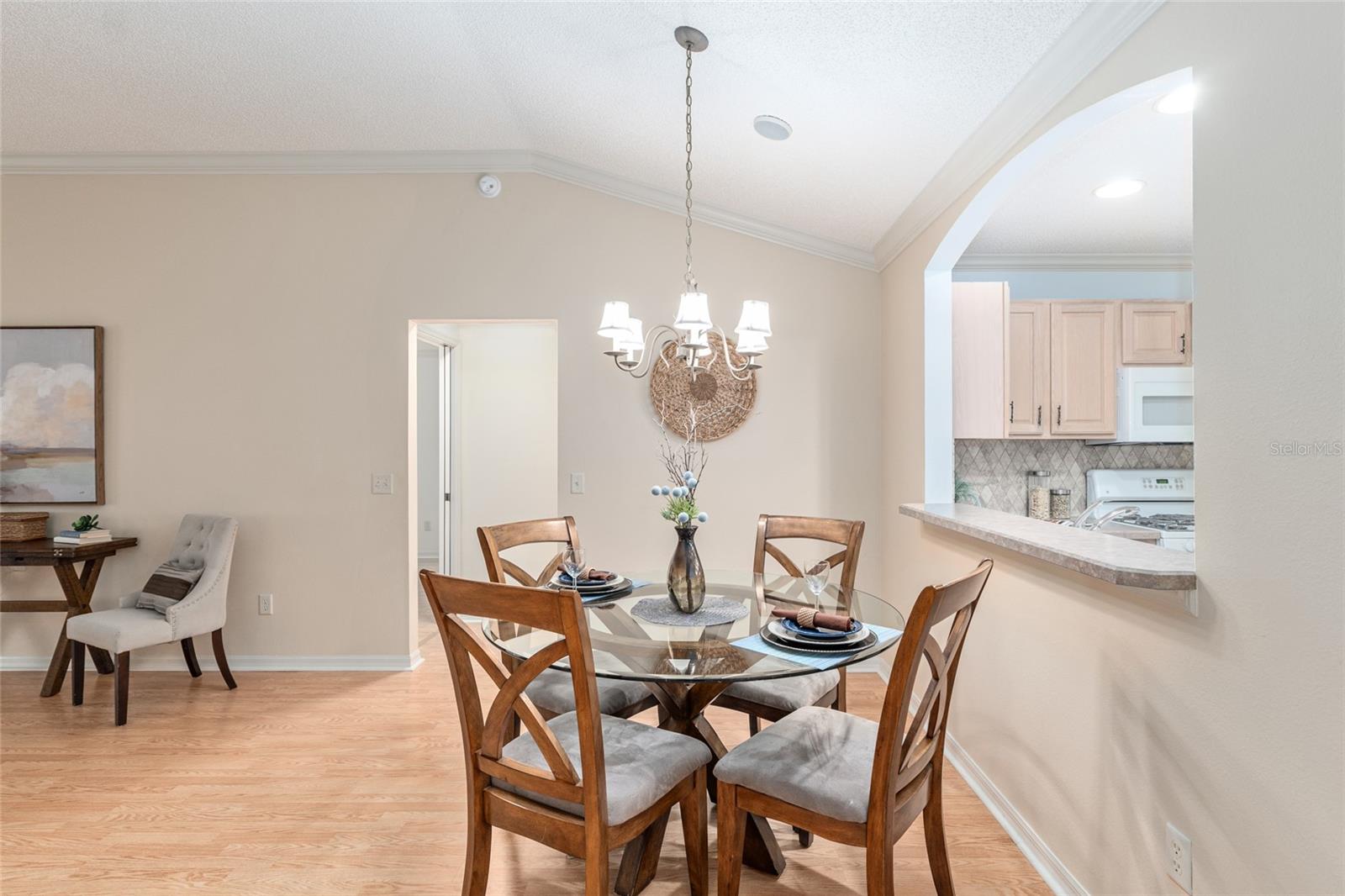 17617 SE 80TH ALTAMAHA CT, THE VILLAGES, FL, 32162