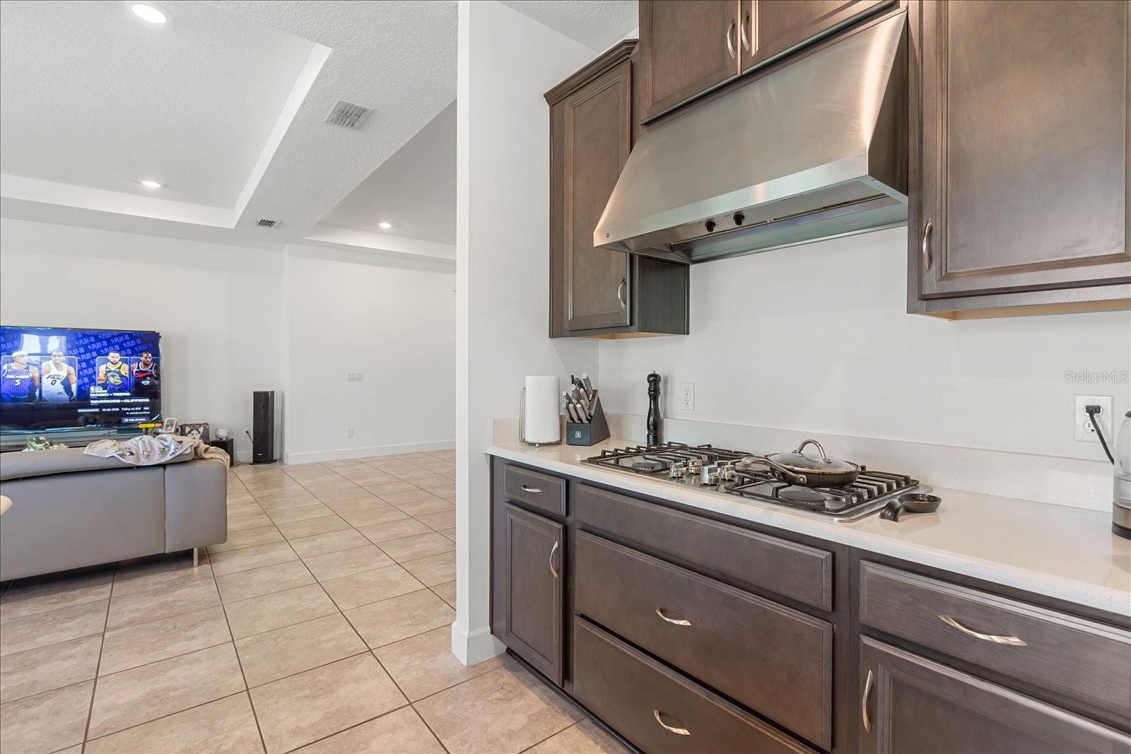 12060 LIDFLOWER ST, ORLANDO, FL, 32824