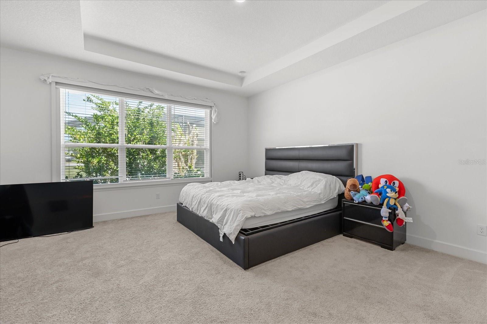 12060 LIDFLOWER ST, ORLANDO, FL, 32824