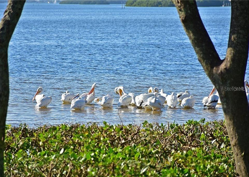 4523 W INDEPENDENCE DR, BRADENTON, FL, 34210