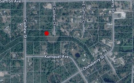 E CASHEW CT, EUSTIS, FL, 32736