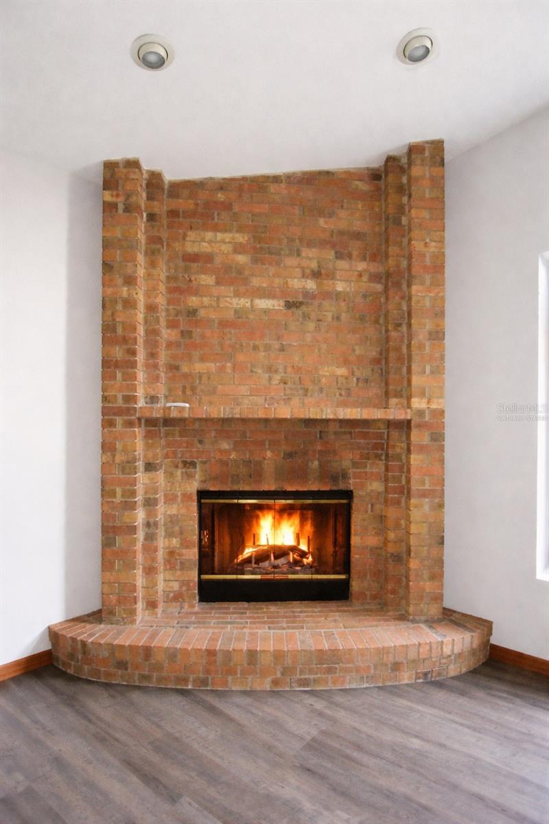 373 ORIANA DR, SPRING HILL, FL, 34609