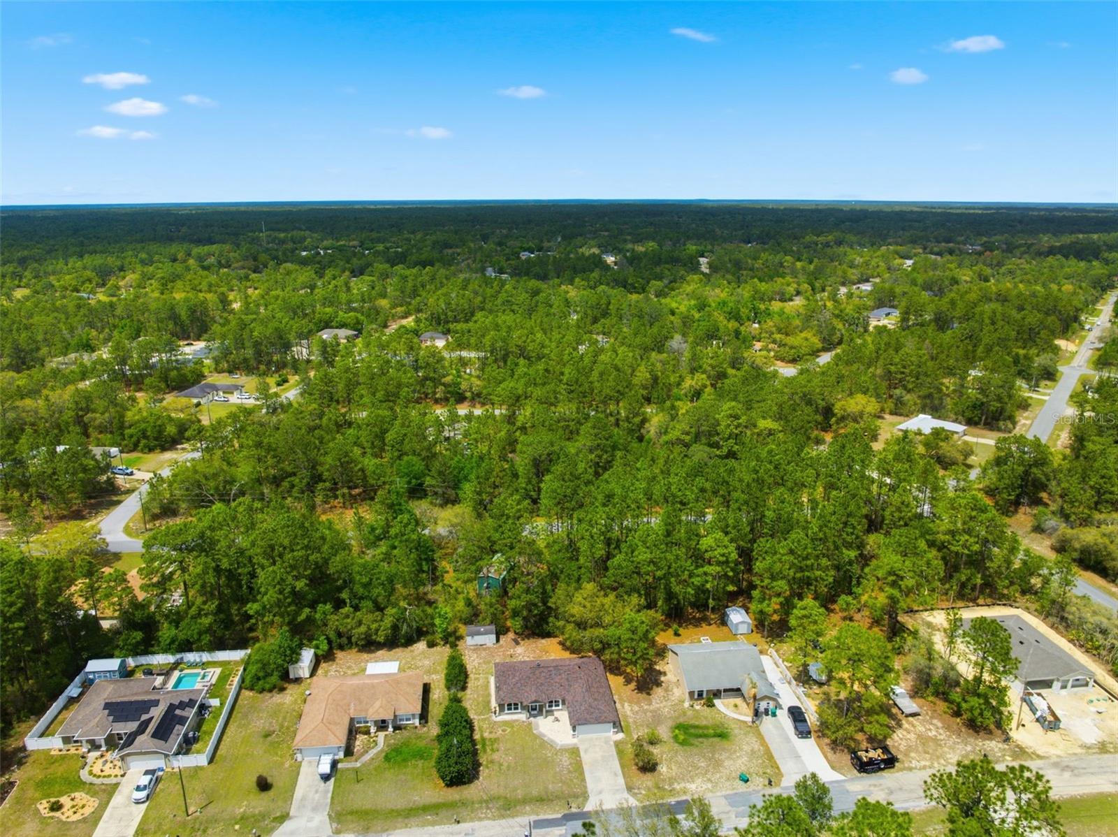 3339 W ELDRIDGE DR, CITRUS SPRINGS, FL, 34433