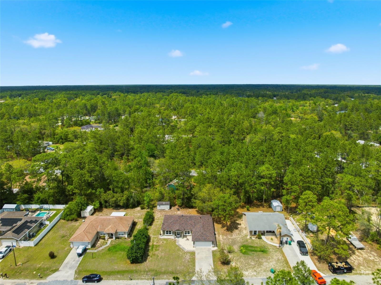 3339 W ELDRIDGE DR, CITRUS SPRINGS, FL, 34433