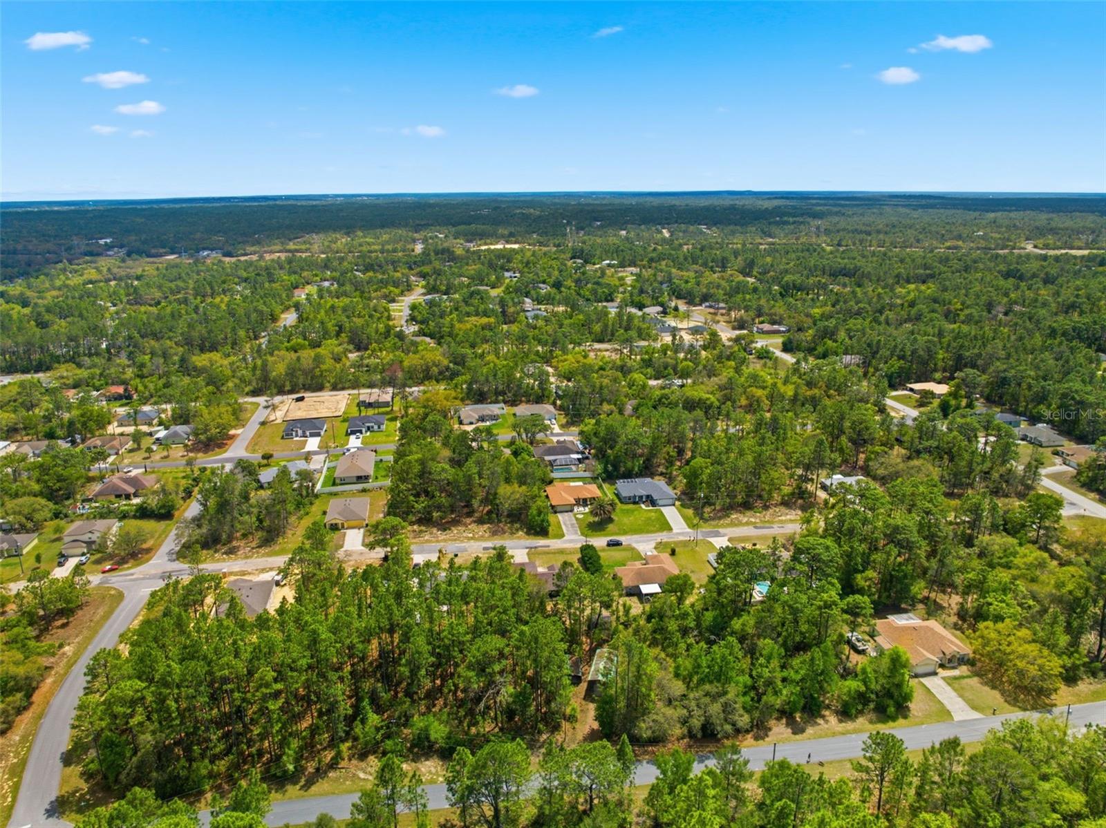 3339 W ELDRIDGE DR, CITRUS SPRINGS, FL, 34433