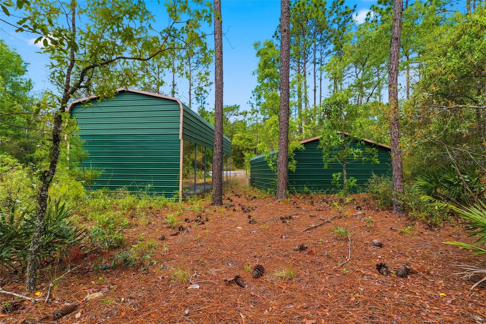 3339 W ELDRIDGE DR, CITRUS SPRINGS, FL, 34433