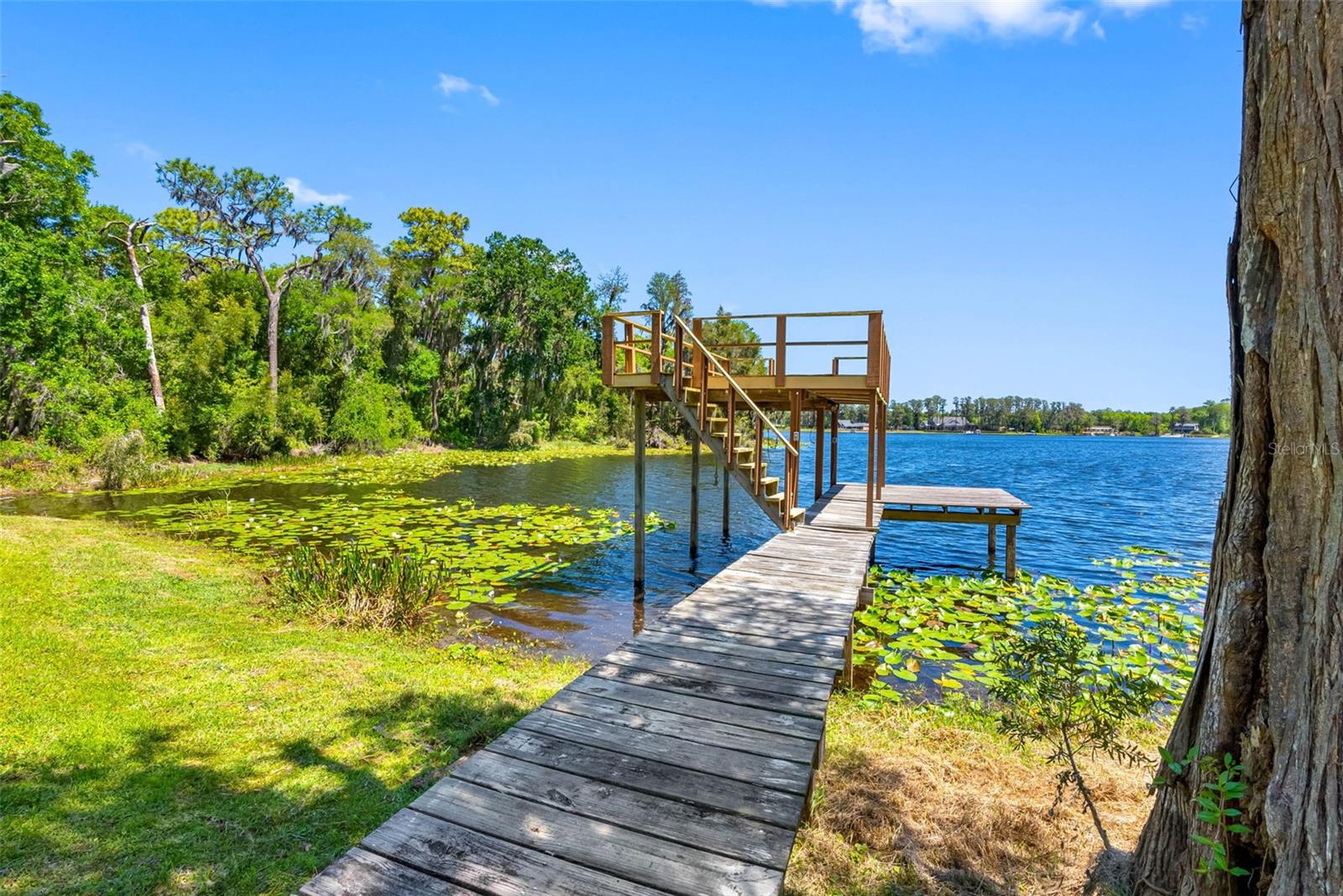 10209 LAKE GROVE DR, ODESSA, FL, 33556