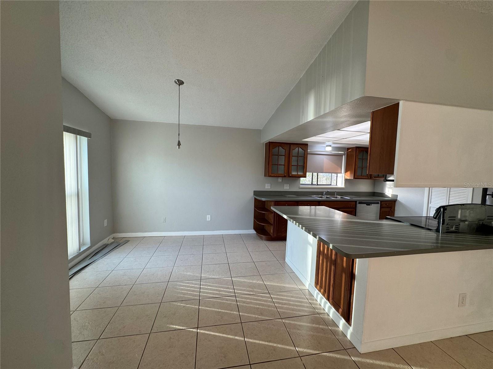 171 SUNNYSIDE DR, CLERMONT, FL, 34711