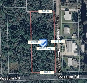 CHERRY TREE RD, ASTOR, FL, 32102
