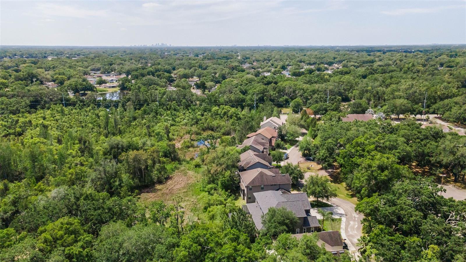 14915 SMITTER RESERVE DR, TAMPA, FL, 33618