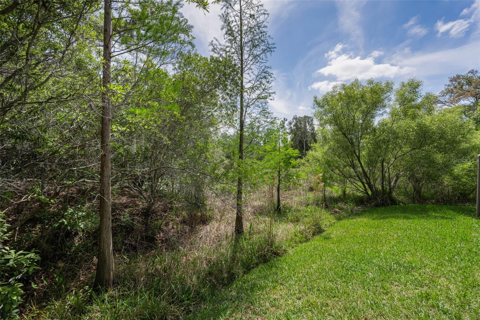 14915 SMITTER RESERVE DR, TAMPA, FL, 33618