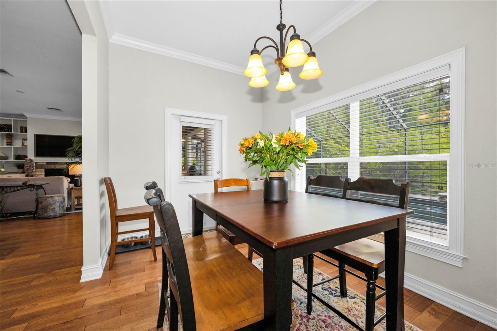 14915 SMITTER RESERVE DR, TAMPA, FL, 33618