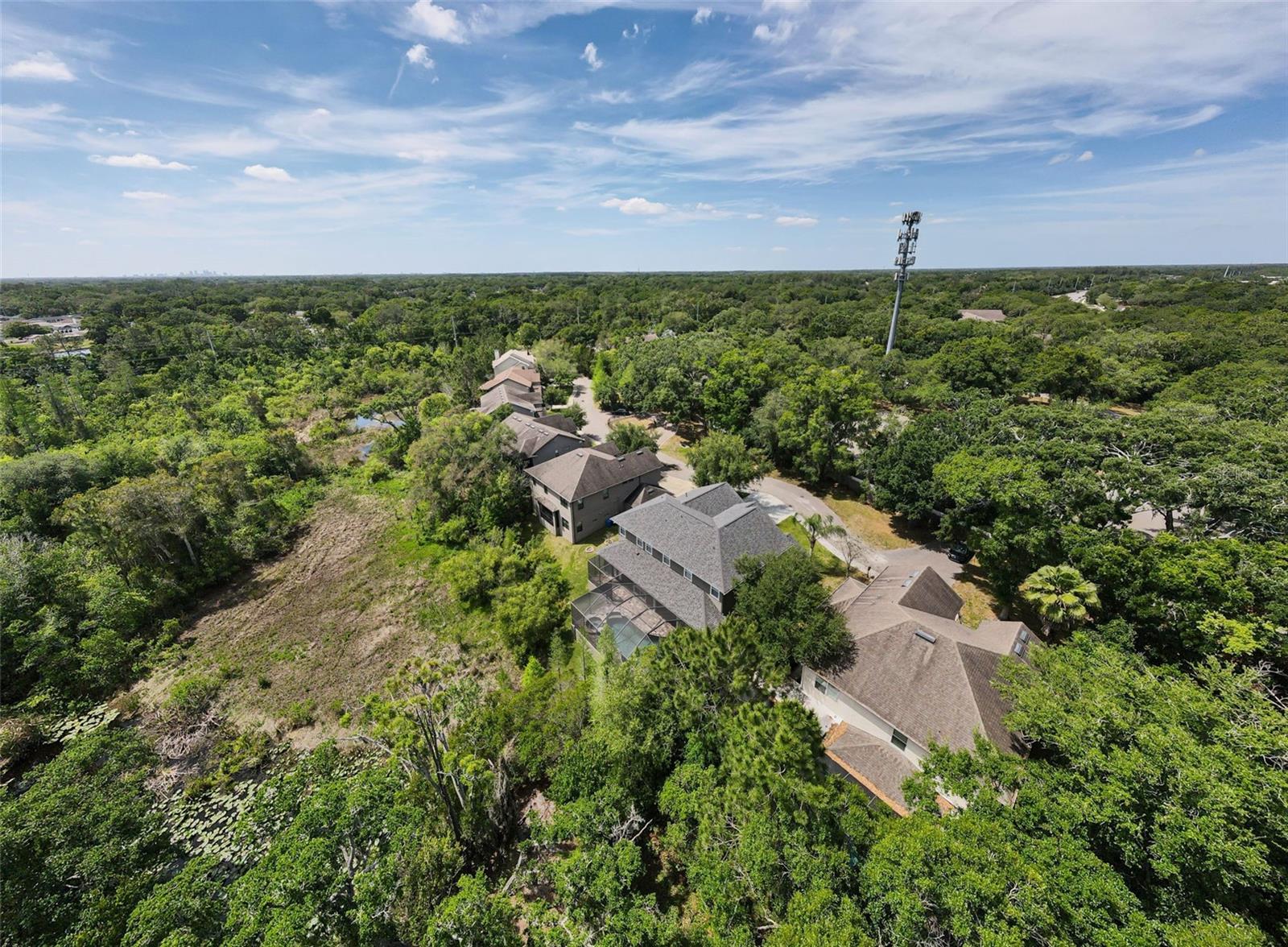 14915 SMITTER RESERVE DR, TAMPA, FL, 33618