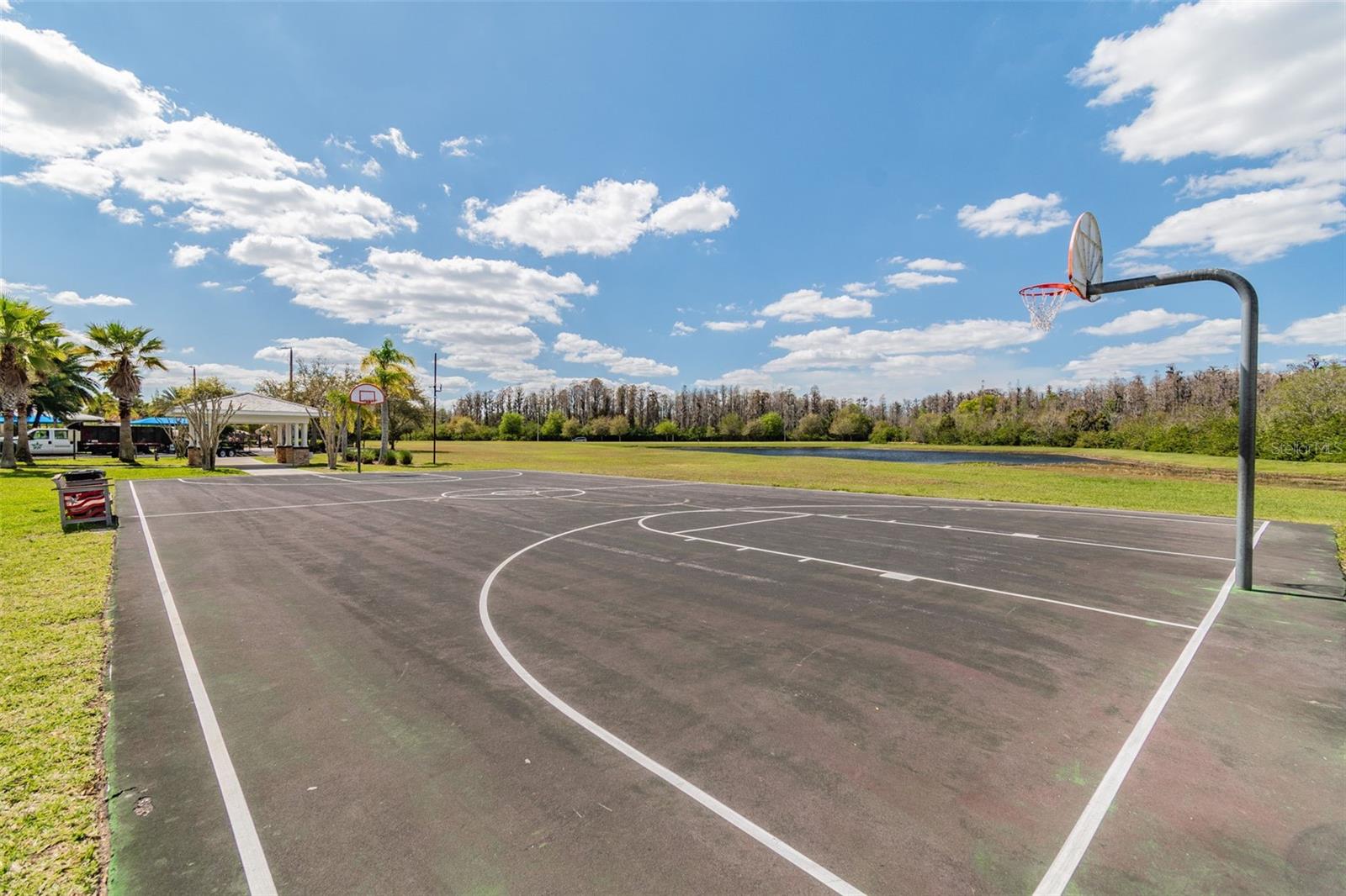 19413 SWEET GRASS WAY, LUTZ, FL, 33558