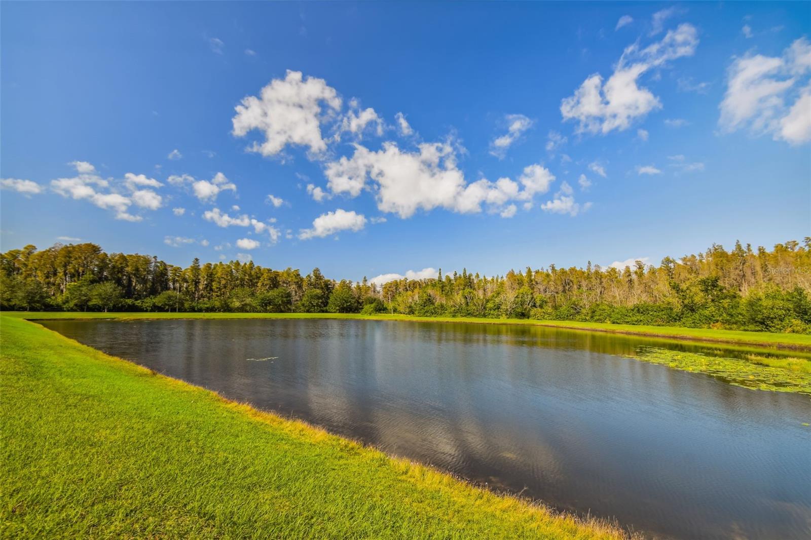 19413 SWEET GRASS WAY, LUTZ, FL, 33558