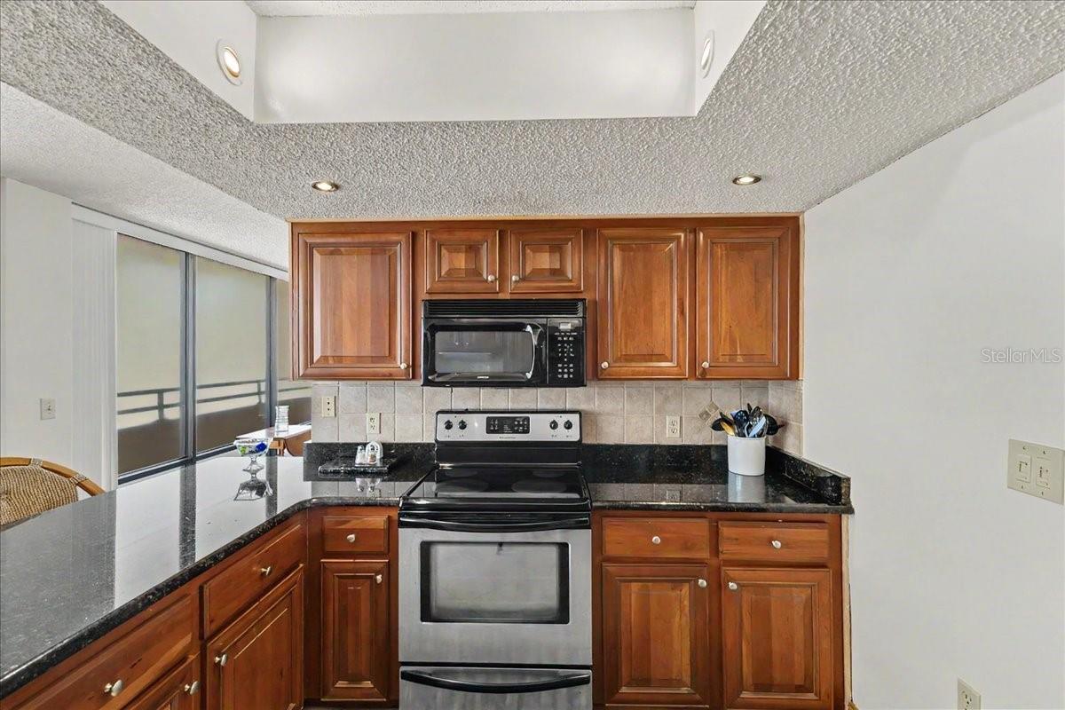 3743 S ATLANTIC AVE #10B0, DAYTONA BEACH, FL, 32118