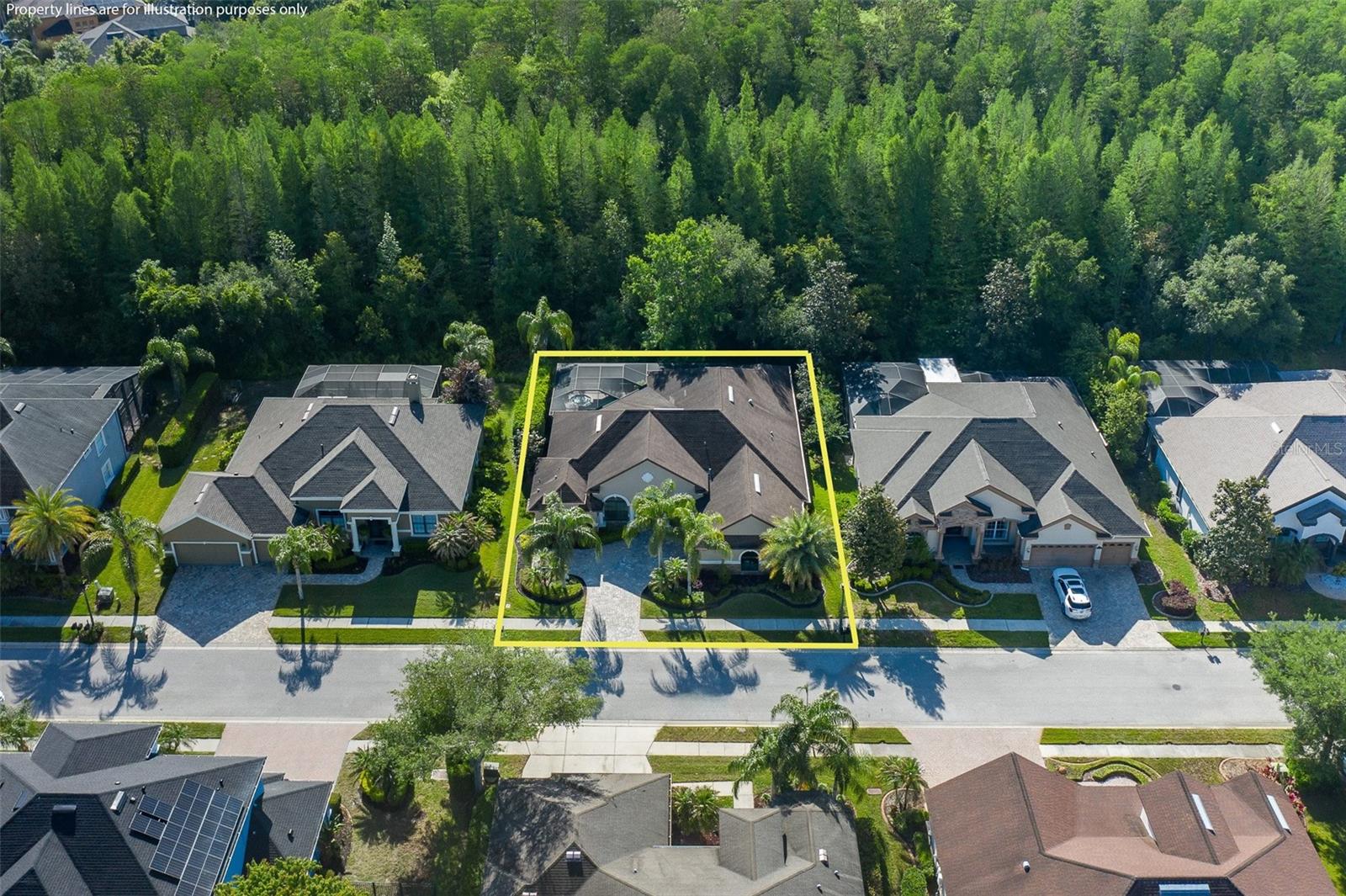 15027 WIND WHISPER DR, ODESSA, FL, 33556