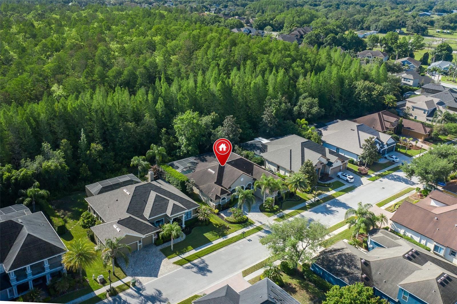 15027 WIND WHISPER DR, ODESSA, FL, 33556