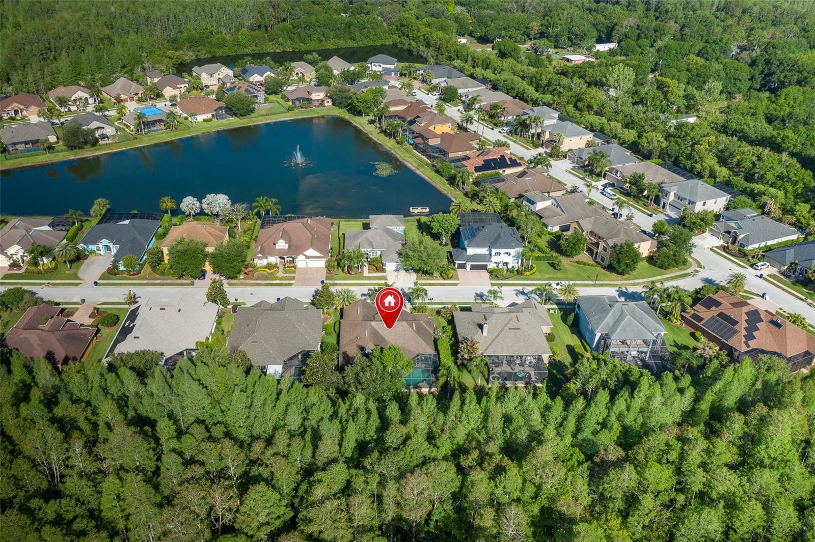 15027 WIND WHISPER DR, ODESSA, FL, 33556