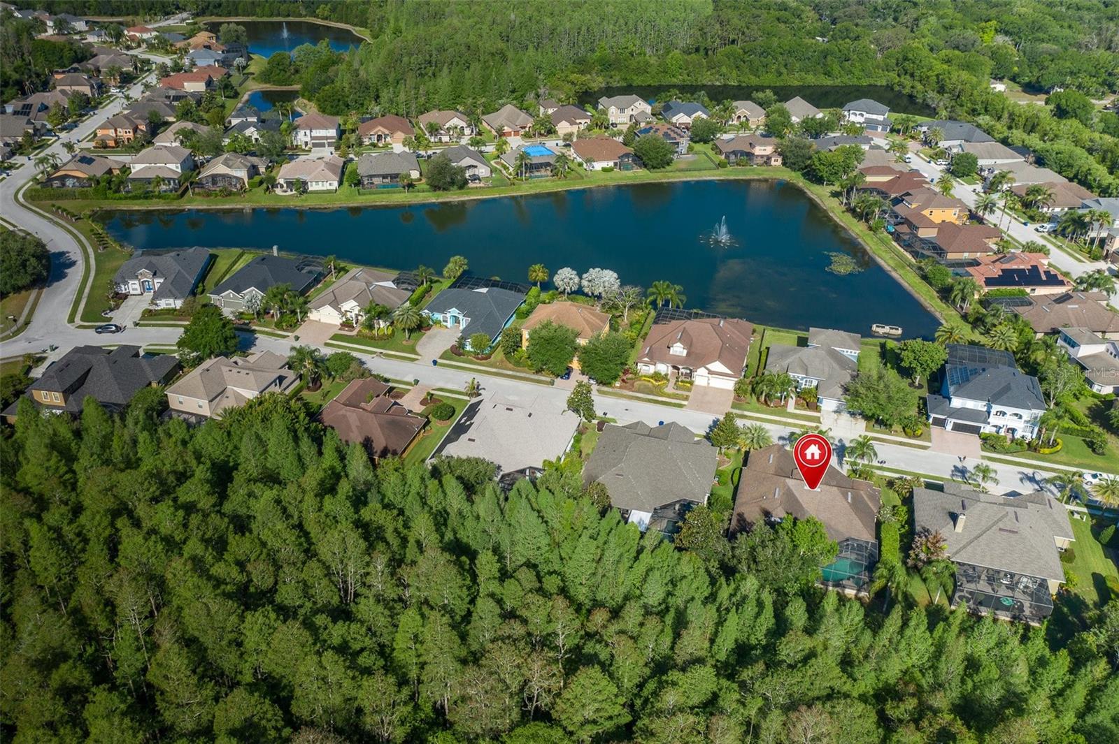 15027 WIND WHISPER DR, ODESSA, FL, 33556