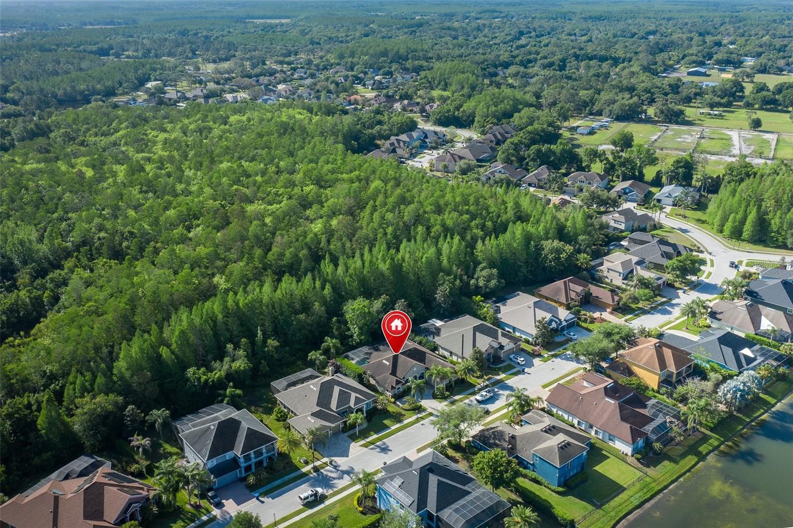 15027 WIND WHISPER DR, ODESSA, FL, 33556