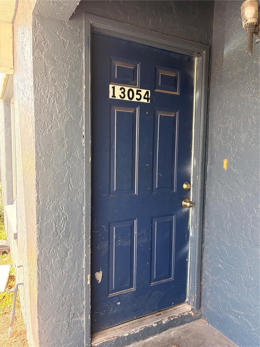 13054 LONDONDARY PL, TAMPA, FL, 33612