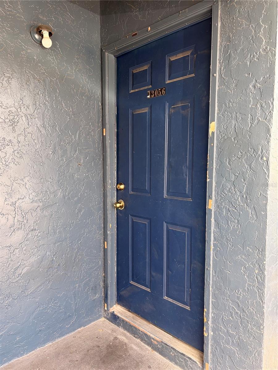 13056 LONDONDARY PL, TAMPA, FL, 33612