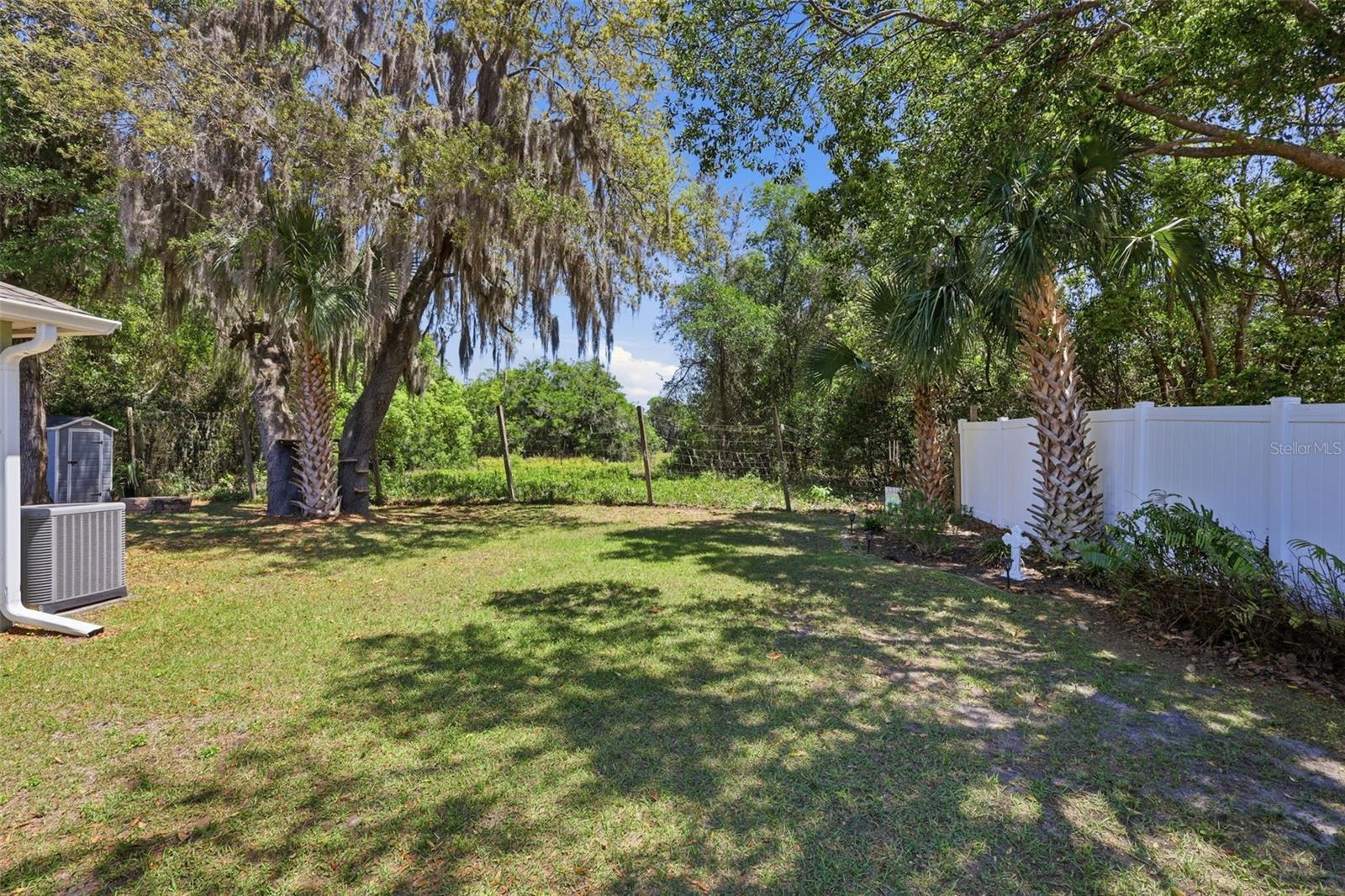 923 CASCADES PARK TRL, DELAND, FL, 32720