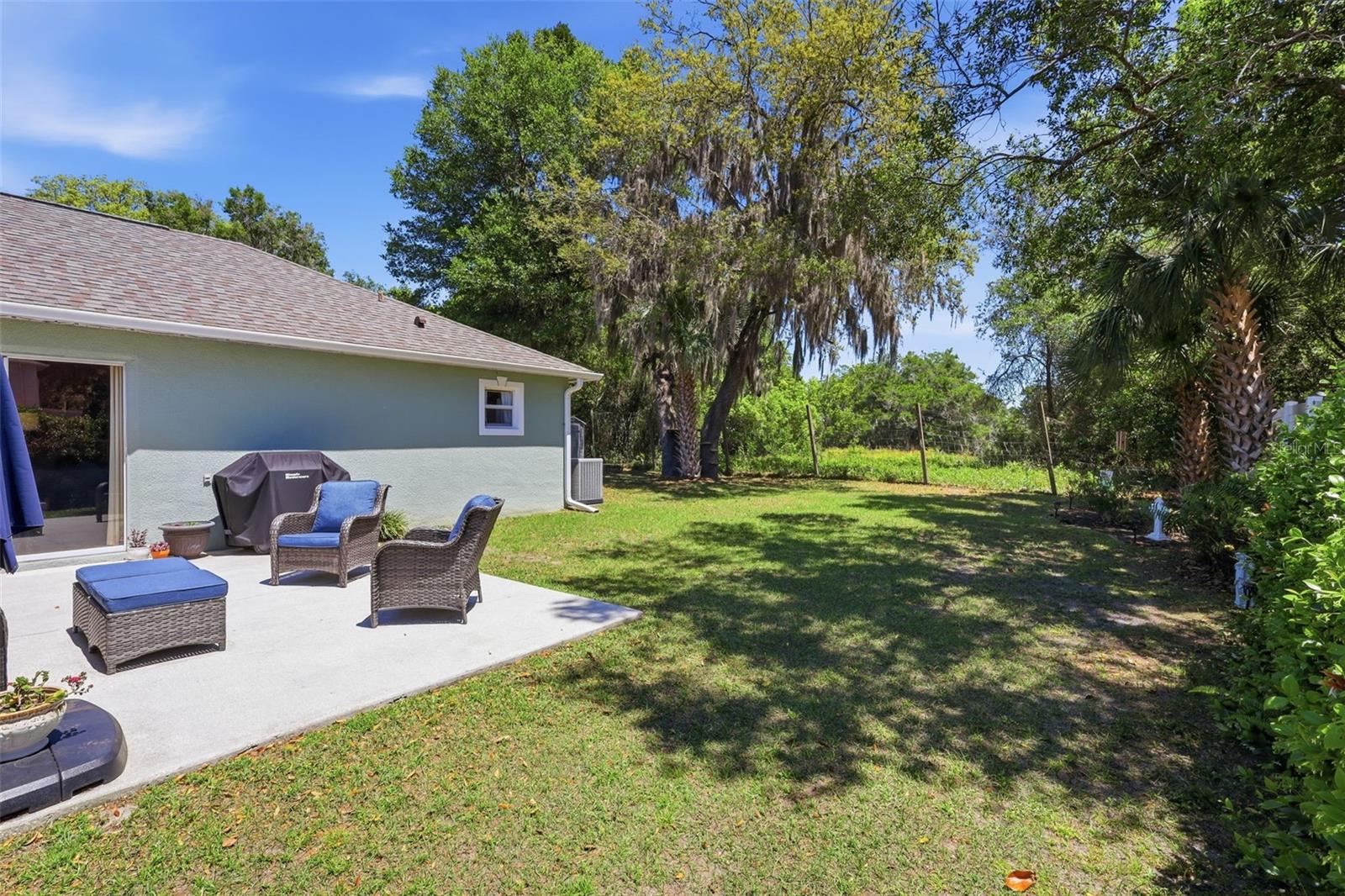 923 CASCADES PARK TRL, DELAND, FL, 32720
