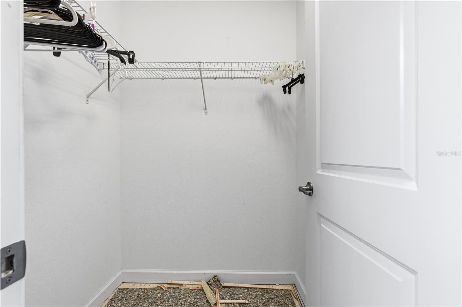 1588 LUDINGTON AVE, WESLEY CHAPEL, FL, 33543