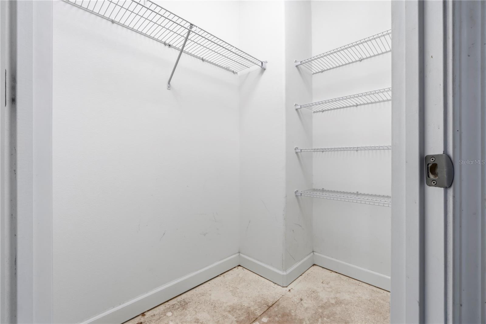 1588 LUDINGTON AVE, WESLEY CHAPEL, FL, 33543