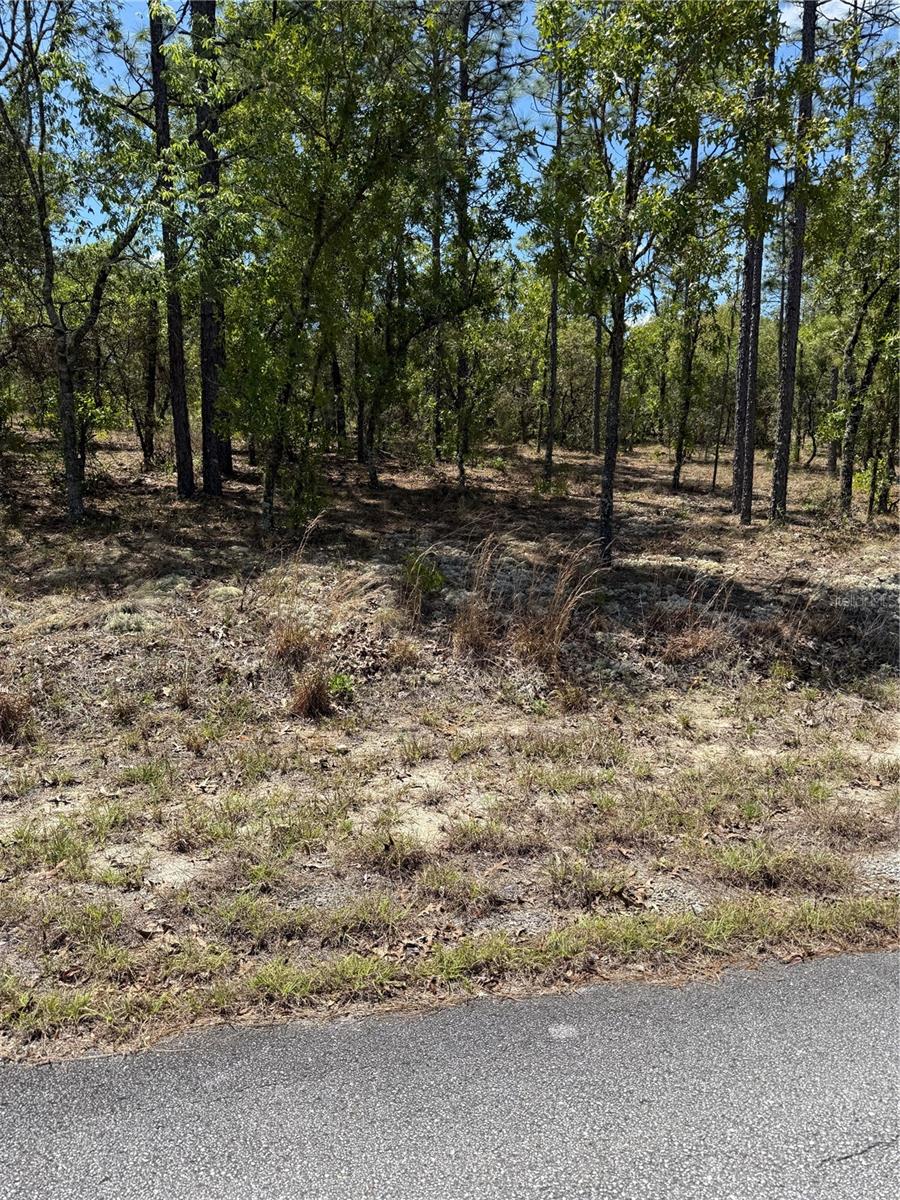 LOT# 8 SW MINEOLA LN, DUNNELLON, FL, 34431