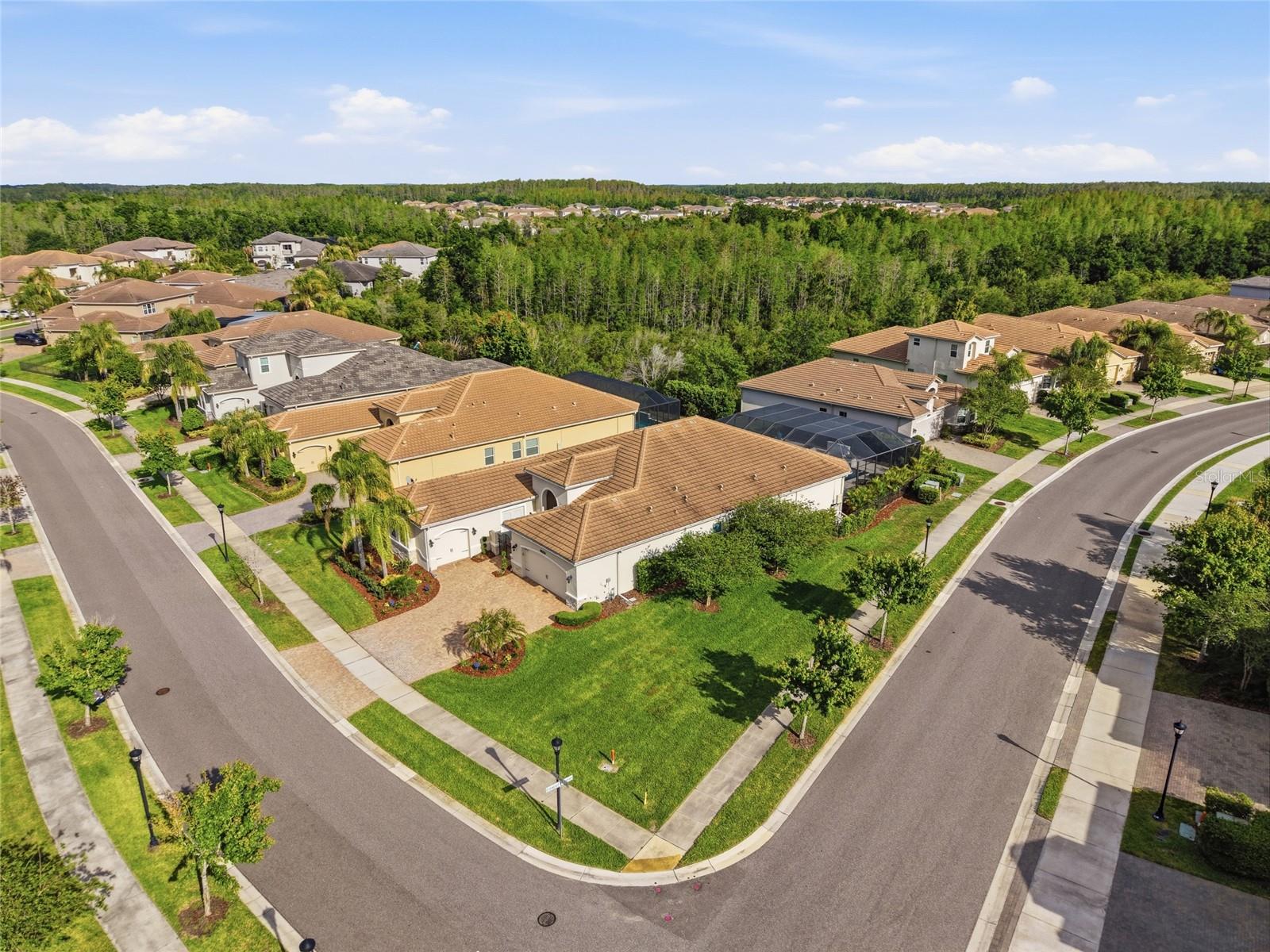 2420 COCO PALM CIR, WESLEY CHAPEL, FL, 33543